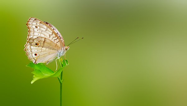 如何给广告片取个好标题?